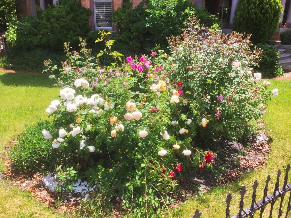 Historic Ellerbeck Mansion Bed & Breakfast Salt Lake City Dış mekan fotoğraf